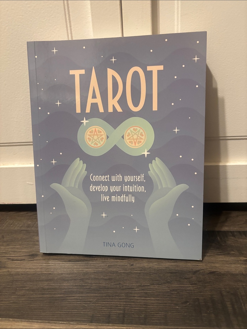 Tarot by Tina Gong — Lavender & Mint Illustrated Guide